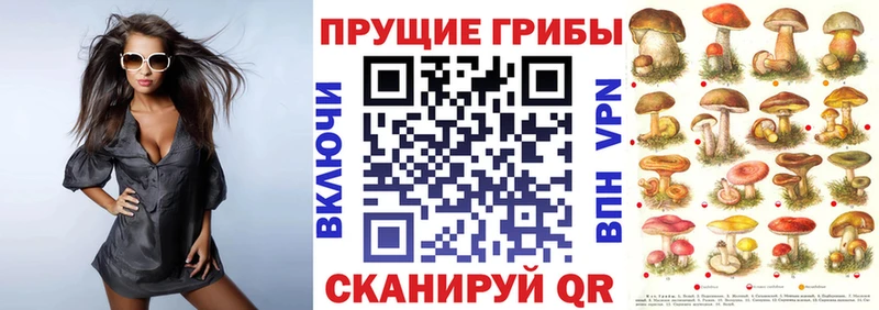 Галлюциногенные грибы мицелий Моршанск